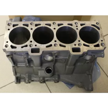 Блок цилиндров двигателя ВАЗ 11193 1.6 16-клапанов 11193-1002011