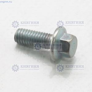 Болт М 6*1*14 с фланцем (Красная Этна)