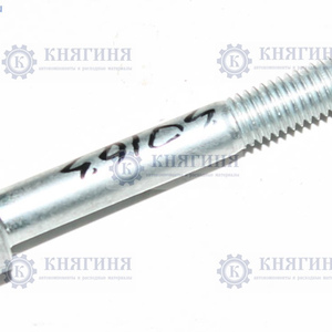 Болт М 8*1 25* 60  (БелЗАН)(уп. 10 шт)