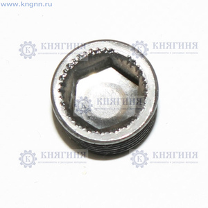 Пробка коленвала УМЗ-4216 Евро-3  ГАЗ 53 (ЗМЗ)