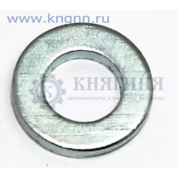 Шайба 6*12 252004-П29