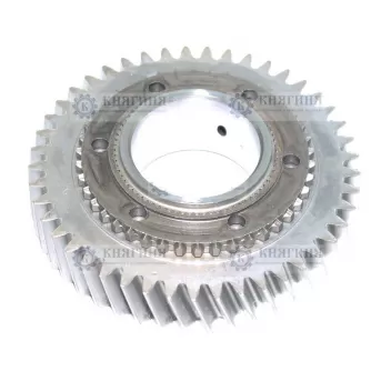 Шестерня КПП Волга, ГАЗель 5-ст. (1 передача) 3110-1701106