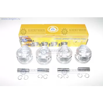 Поршни ЗМЗ-406 (93,0) (в упаковке ГАЗ) 406.1004014-882