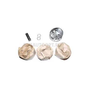 Поршни ЗМЗ-409 (96,0) ЕВРО-3 УАЗ (под узкие кольца) СТК 40904-1004014-881